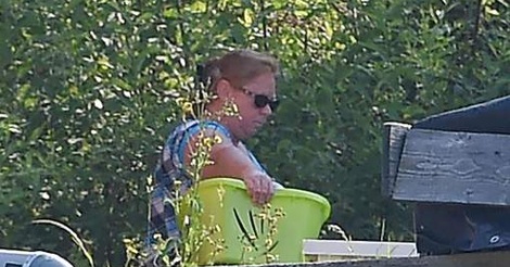 content_image
