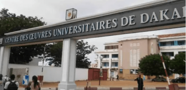 Campus Dakar  Ascencia Business School