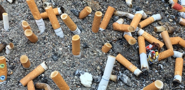 10 idées reçues sur le tabac qui se révèlent fausses