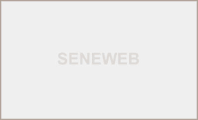 Seneweb News