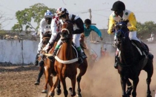 Sport
