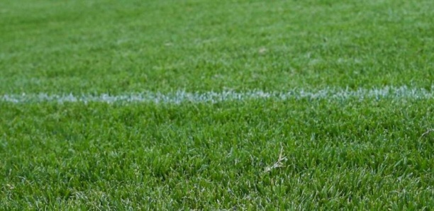 Un coach viré d'une équipe de jeunes en Italie après une victoire 27-0
