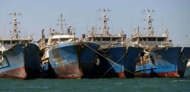 Interdiction de pêche : Les Espagnols Cepesca et Dakartuna décrient le Sénégal et réclament une solution pour la flotte de thoniers canneurs