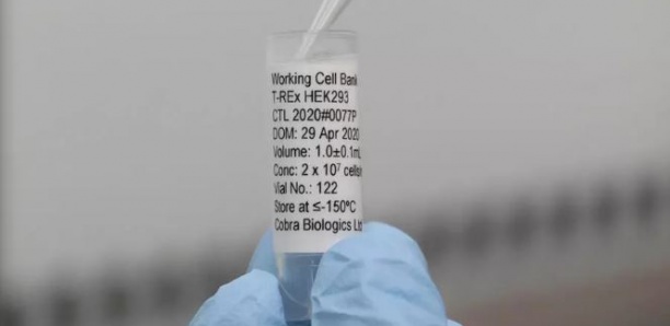 Royaume-Uni : des millions de tests à venir grâce à de nouvelles technologies
