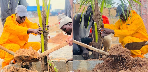 Mbao : Abdou Karim Sall lance les travaux de reboisement de la commune