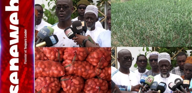 Zone des Niayes : Thierno Alassane Sall scandalisé par la souffrance des producteurs maraîchers (vidéo)