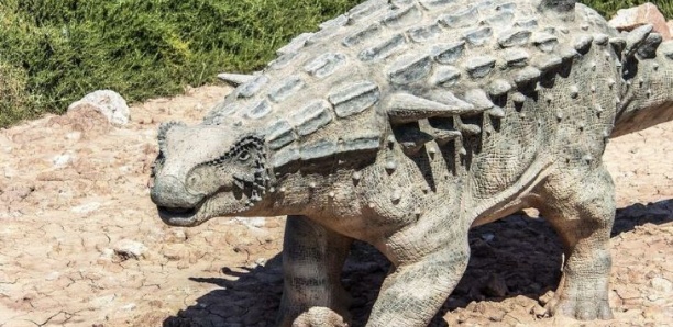 Maroc : découverte d'un fossile d'ankylosaure vieux de 168 millions d'années
