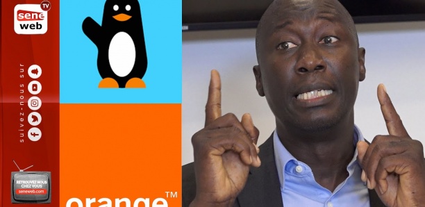 [Vidéo] Battle Orange vs Wave: L'avis tranché de Dame Mbodj