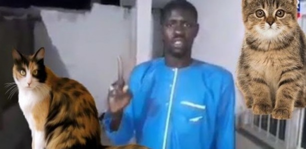 « Seck ak muus mi » : Sohibou Seck traine en justice un Youtubeur pour usurpation d’identité