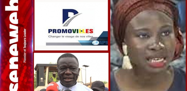 Modernisation de Birkilane : Le maire Fallou Fall magnifie le vaste chantier en cours du Promovilles