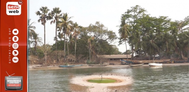 L’histoire jamais racontée de Niomoune, l’île mystérieuse de la Casamance
