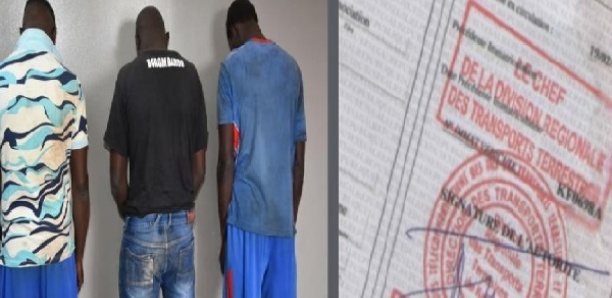 Trafic de fausses cartes grises : La gendarmerie met fin à un réseau présumé