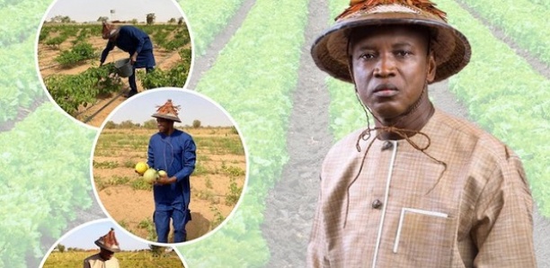 Agriculture : 700 tracteurs annoncés par le ministre Aly Ngouille Ndiaye