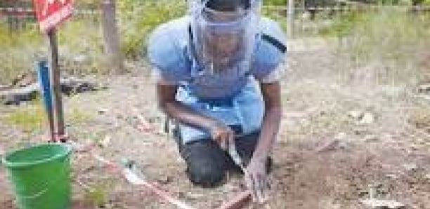 Crise au CNAMS de Ziguinchor : Le programme de déminage en Casamance en eau trouble
