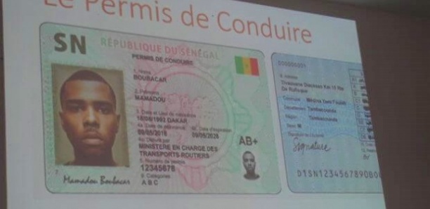 Permis de conduire numérisés : Coup de colère contre "Capp Karangë"