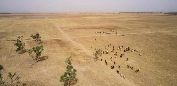Mali: 16 civils tués par une mine dans le Nord