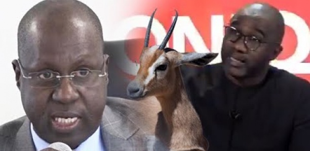 Doudou Ka sur l'affaire des gazelles oryx: "Quand on nous donne des responsabilités, on doit montrer le bon exemple..."