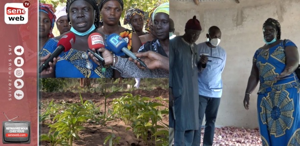 Casamance : La DER/FJ s’engage à accompagner le centre Karongué de l’Ajac Lukaal