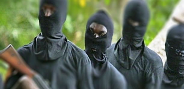 Braquage au Lac Rose : des hommes armés et encagoulés dévalisent une ferme, des moutons de race emportés, plus de 10 millions F CFA perdus