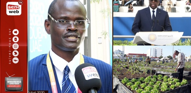 Expo Dubaï 2020 : Dr Macoumba Diouf expose les grands progrès de l'horticulture