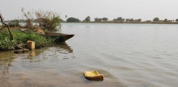 Débordement du fleuve Sénégal à Matam : Les agriculteurs lancent un SOS