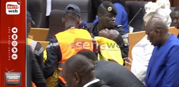 Affaire Amy Ndiaye : La réaction outrée du Parlement de la CEDEAO