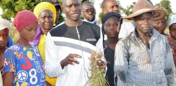 Présidentielle 2024 : La candidature de Dr Babacar Diop "en téléchargement"