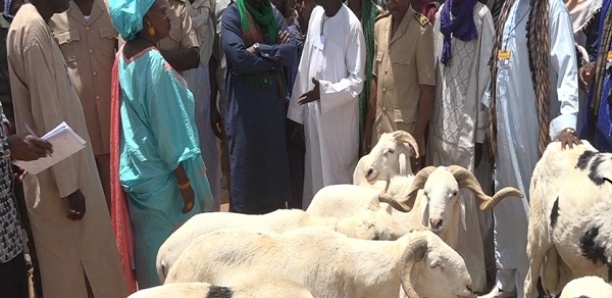 Samba Ndiobène Kâ : "J'invite les Sénégalais à acheter tôt leur mouton. S'ils attendent…"
