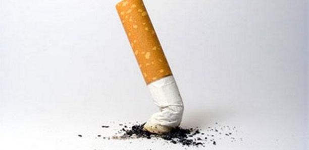 Lutte contre le tabac : La Côte d'Ivoire introduit l'emballage neutre