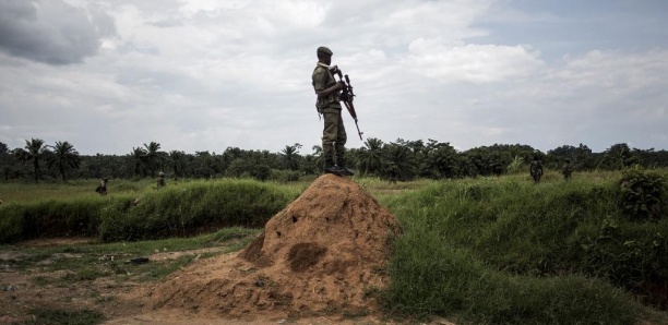RDC : vingt morts dans une nouvelle attaque près de Beni