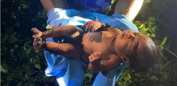 Découverte macabre en Guinée : le corps d’un bébé de 20 mois retrouvé dans une valise