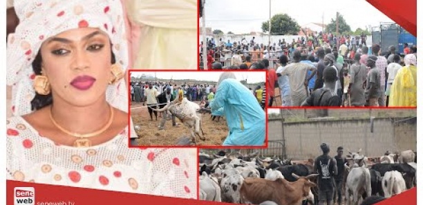 Madinatoul Salam: vivez l'ambiance inattendue chez Sokhna Aïda Diallo...