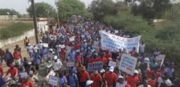 Guédiawaye : La marche contre la cherté de la vie aura finalement lieu le…