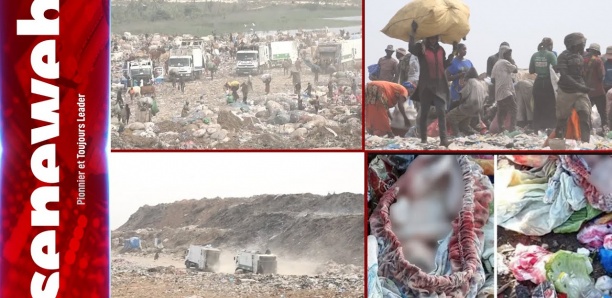 Grand Reportage à la décharge de Mbeubeuss : Ces horribles découvertes vont vous surprendre