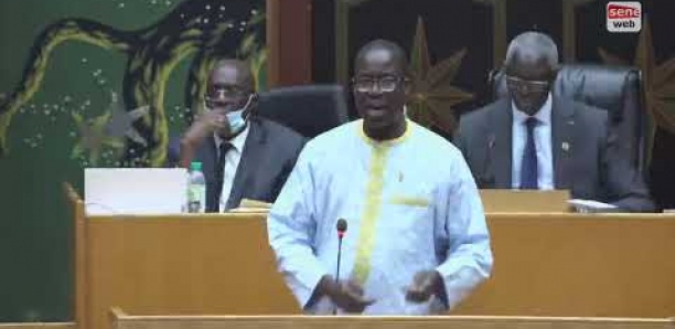 Bassirou Goudiaby, député: « Il faut repenser le modèle agricole sénégalais »