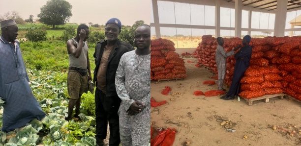Non à la désinformation sur le drame que vivent les horticulteurs de la Zone des Niayes (Par Amar Yaya Sall)