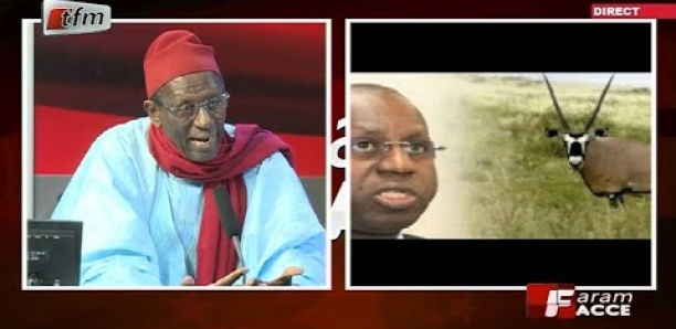 Doudou Wade sur l'affaire des Gazelles Oryx : "Li Takh Gni Porter Plainte contre..."