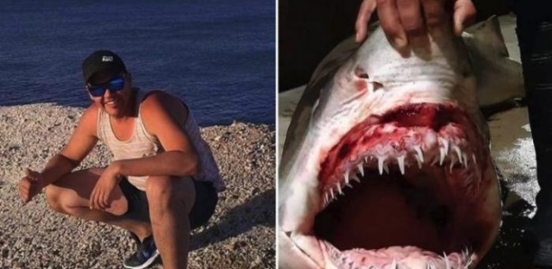 Les restes d'un homme disparu retrouvés dans l'estomac d'un requin