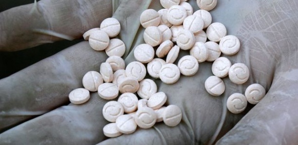 ITALIE : Un sénégalais arrêté dans un labo de fabrication de drogue