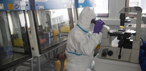 Coronavirus: l'OMS remet en cause le bien-fondé des «passeports immunitaires»