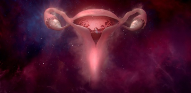 Cette pub sur les règles et l'utérus va faire du bien à toutes les femmes