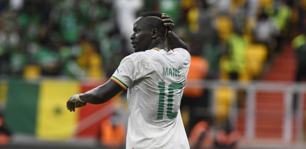 [Images] Découvrez le maillot extérieur des Lions