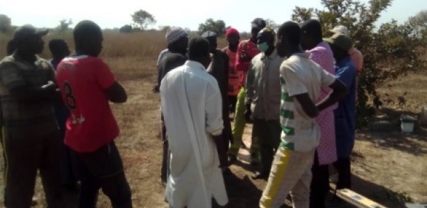 Bounkiling : Le collectif pour la défense des intérêts de Wandifa s’en prend à la Dscos