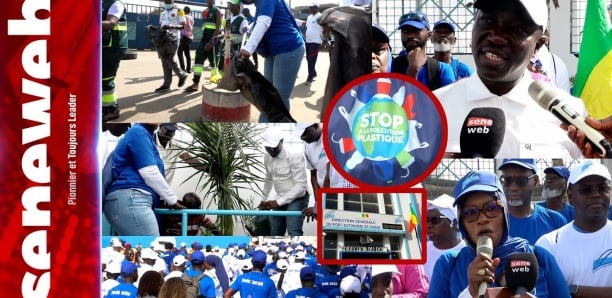 Pollution plastique au Port de Dakar : La direction générale engage la lutte avec les acteurs portuaires