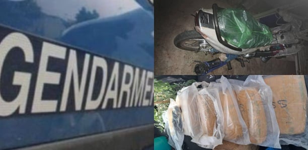 Semmé (Matam) : Un motocycliste venant du Mali arrêté avec 3,5 kg de chanvre indien