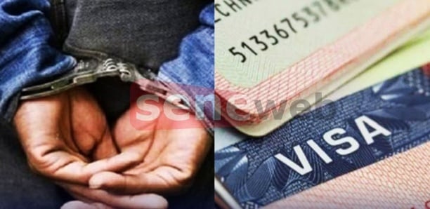 Escroquerie au visa : un réseau de trafic de migrants démantelé à Yeumbeul