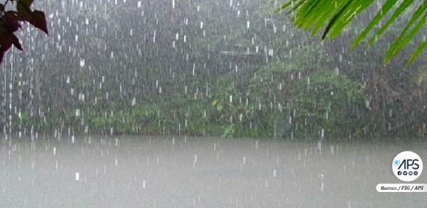 Présidentielle : La pluie, invitée surprise dans plusieurs localités