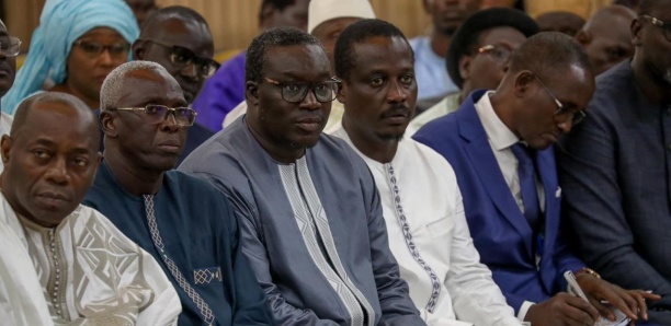 Pape Modou Fall, Directeur de l'Emploi: "Amadou Bâ a les connaissances et les compétences pour préserver la cohésion nationale et renforcer Bby"