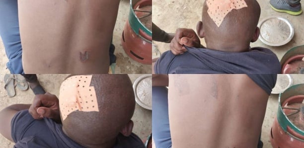 Somone : Attaque brutale à la bergerie de Birahime Sow, gardiens blessés et mouton mutilé