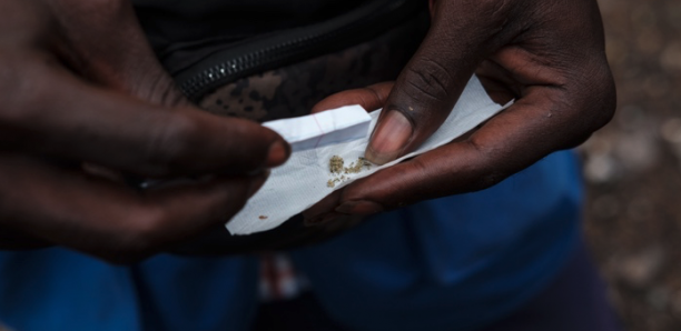 Rufisque : Un maçon de 25 ans arrêté avec 45 keppas de Kush à Santa Yalla